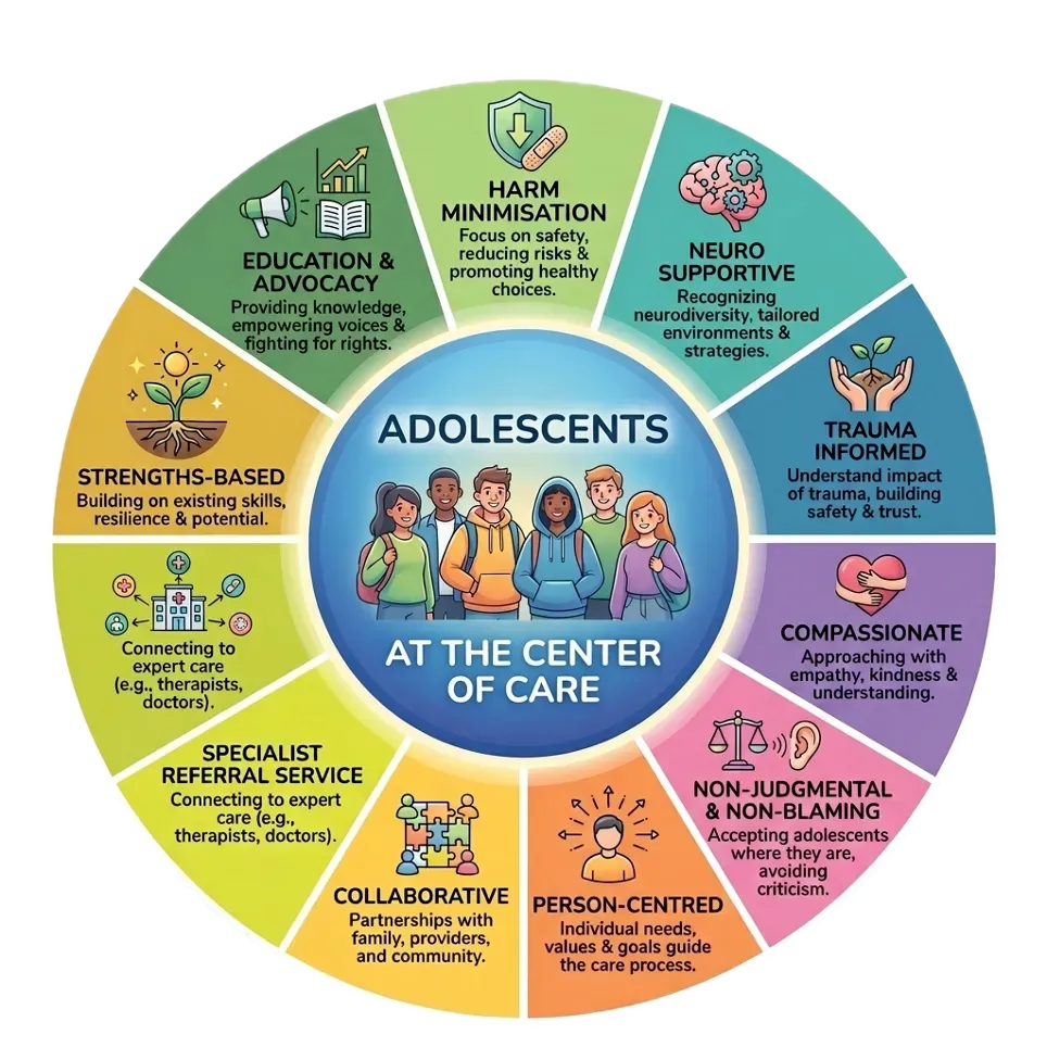 Info graphic of Model of Care